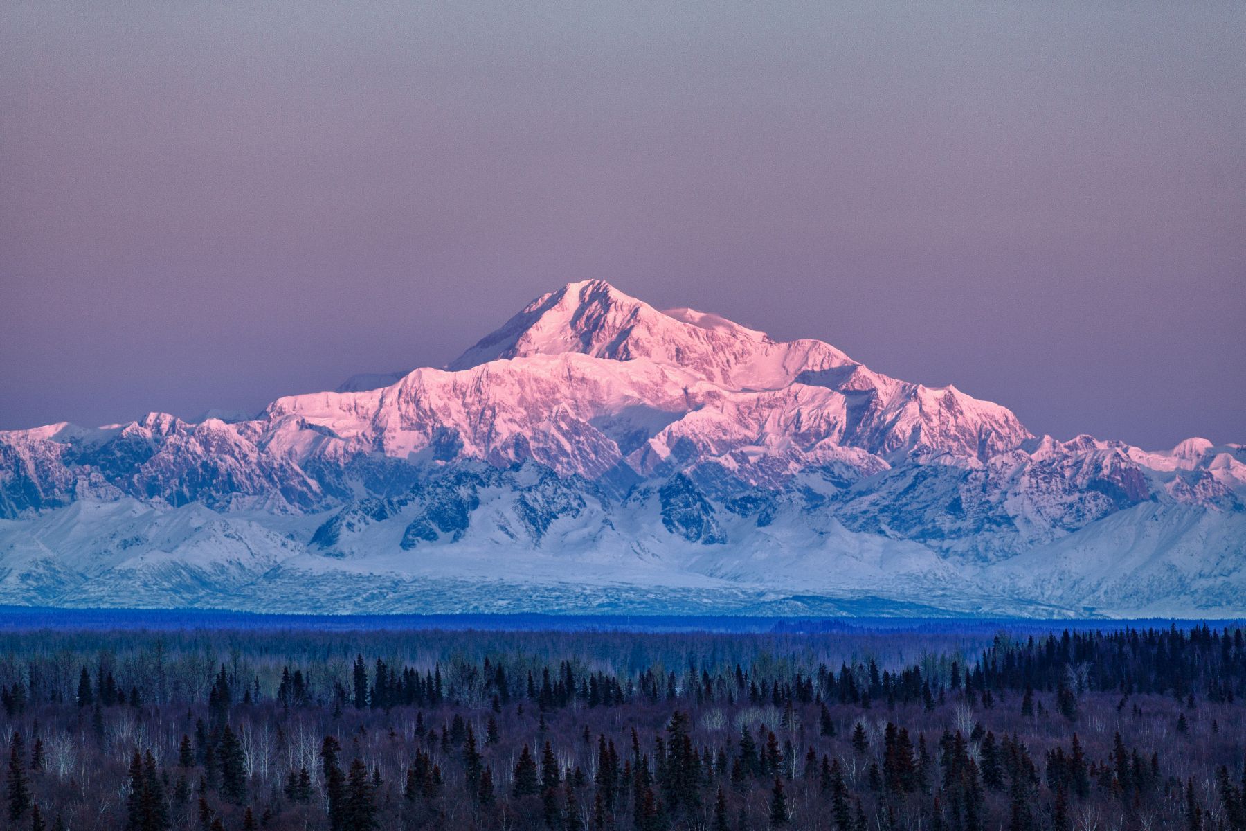Denali in winter at sunset