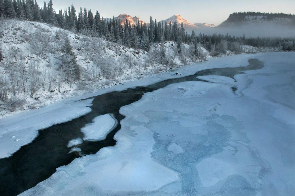 Denali National Park in Winter