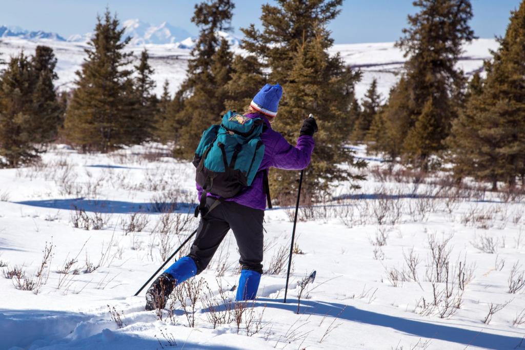 Cross country skiing in Denali National Park