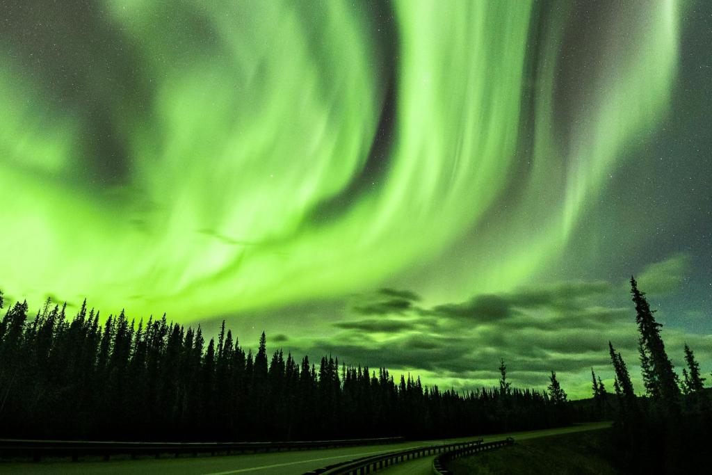 Northern lights near Denali National Park