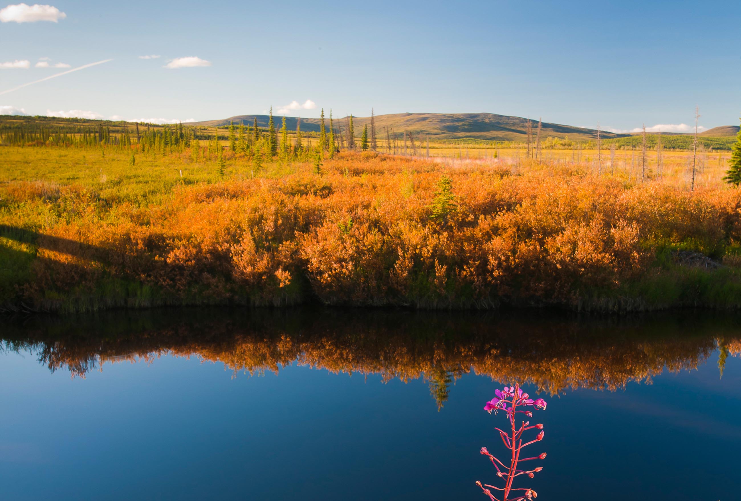 Kanuti National Wildlife Refuge Alaska
