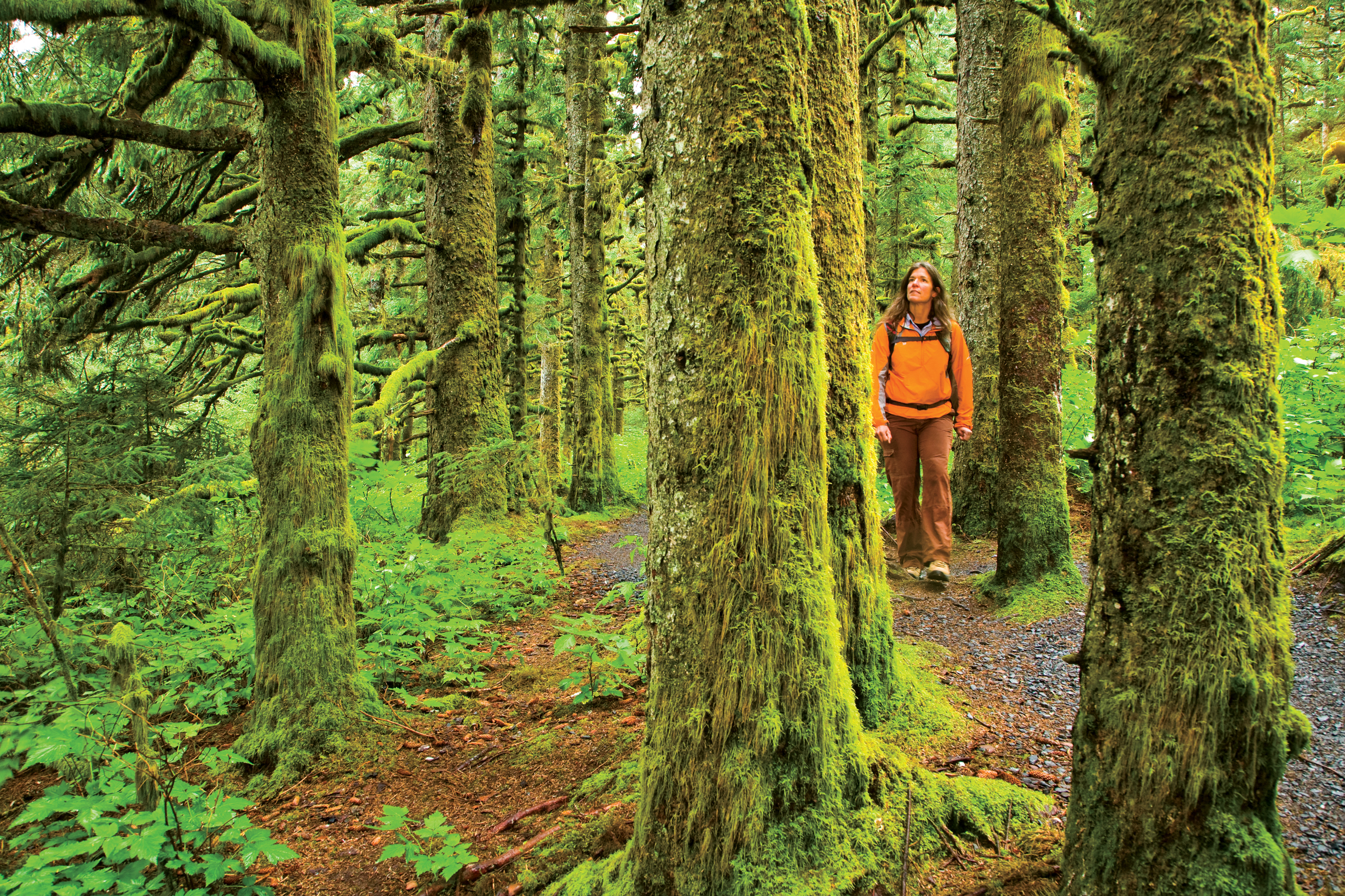 Kodiak Area State Parks Alaska Hero