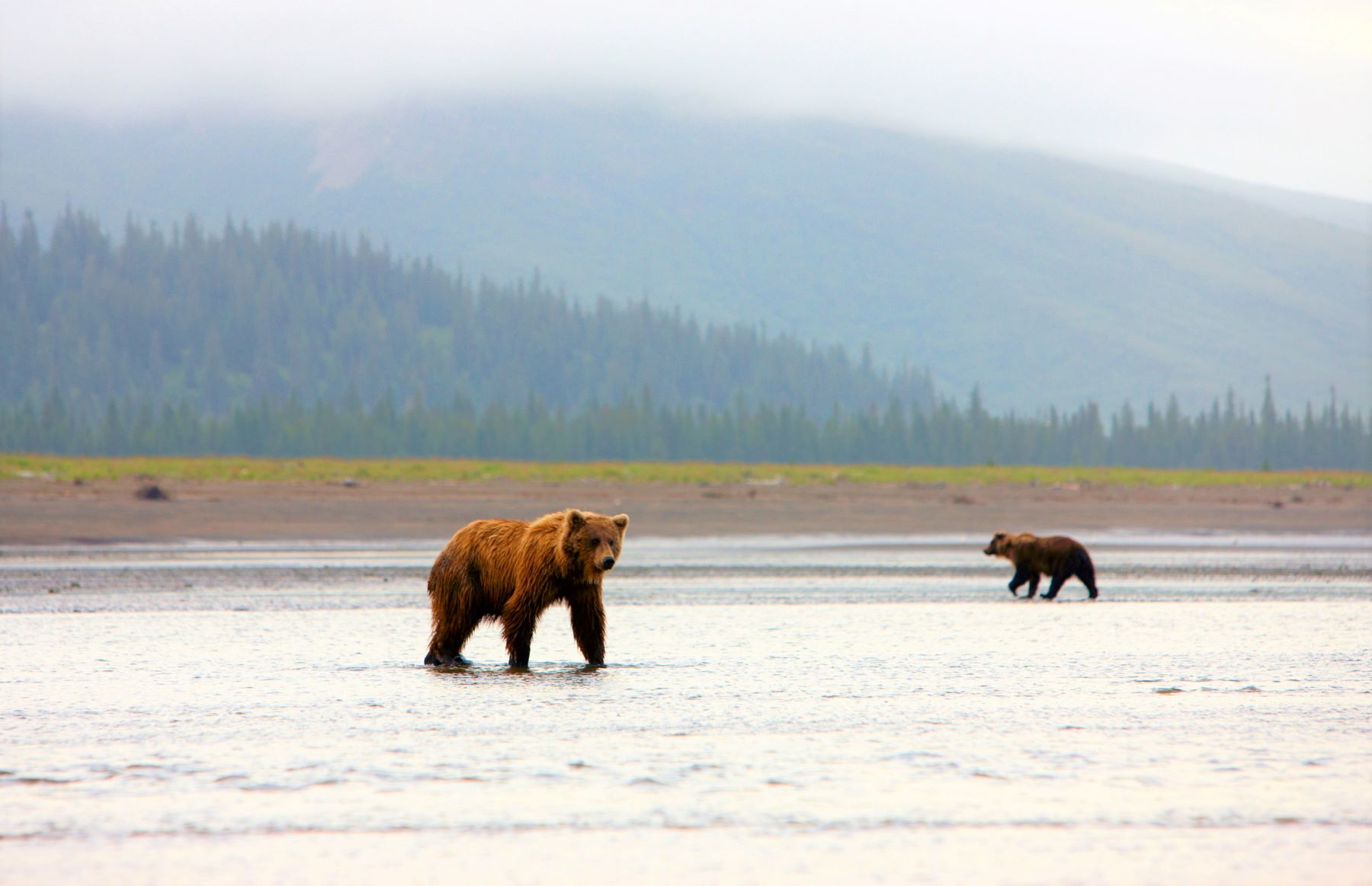 Lake Clark National Park and Preserve - Destinations ParksPublicLands Lake%20Clark%20National%20Park Hero (ATIA%2C%20Chris%20McLennan)%202 