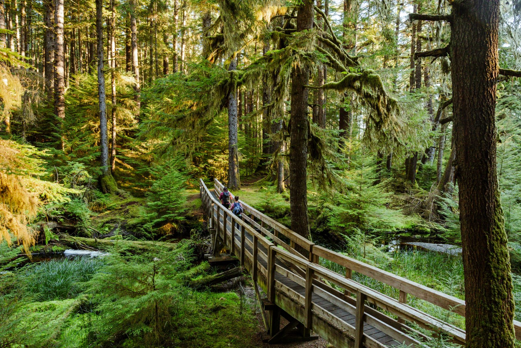 Hiking the Pesuta Shipwreck Trail in Naikoon Provincial Park, British Columbia