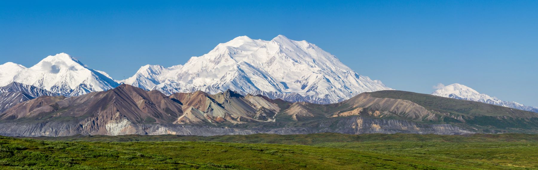 Discover Denali