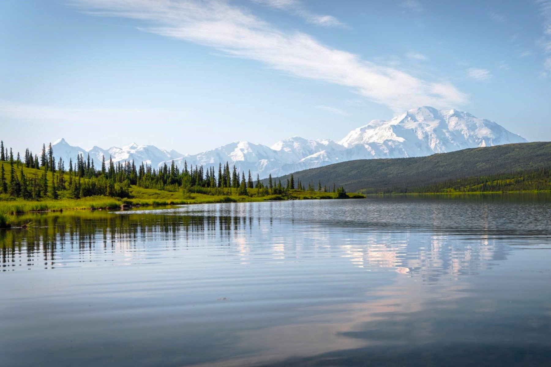 Denali National Park