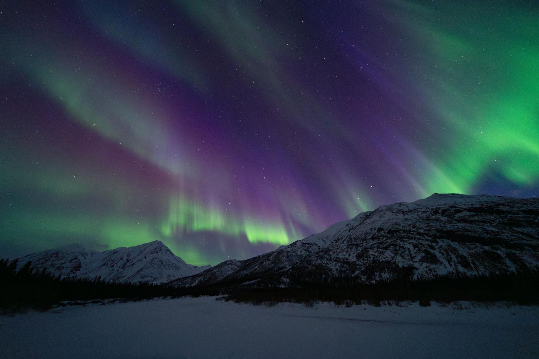 Purple and green northern lights and mountains in Alaska