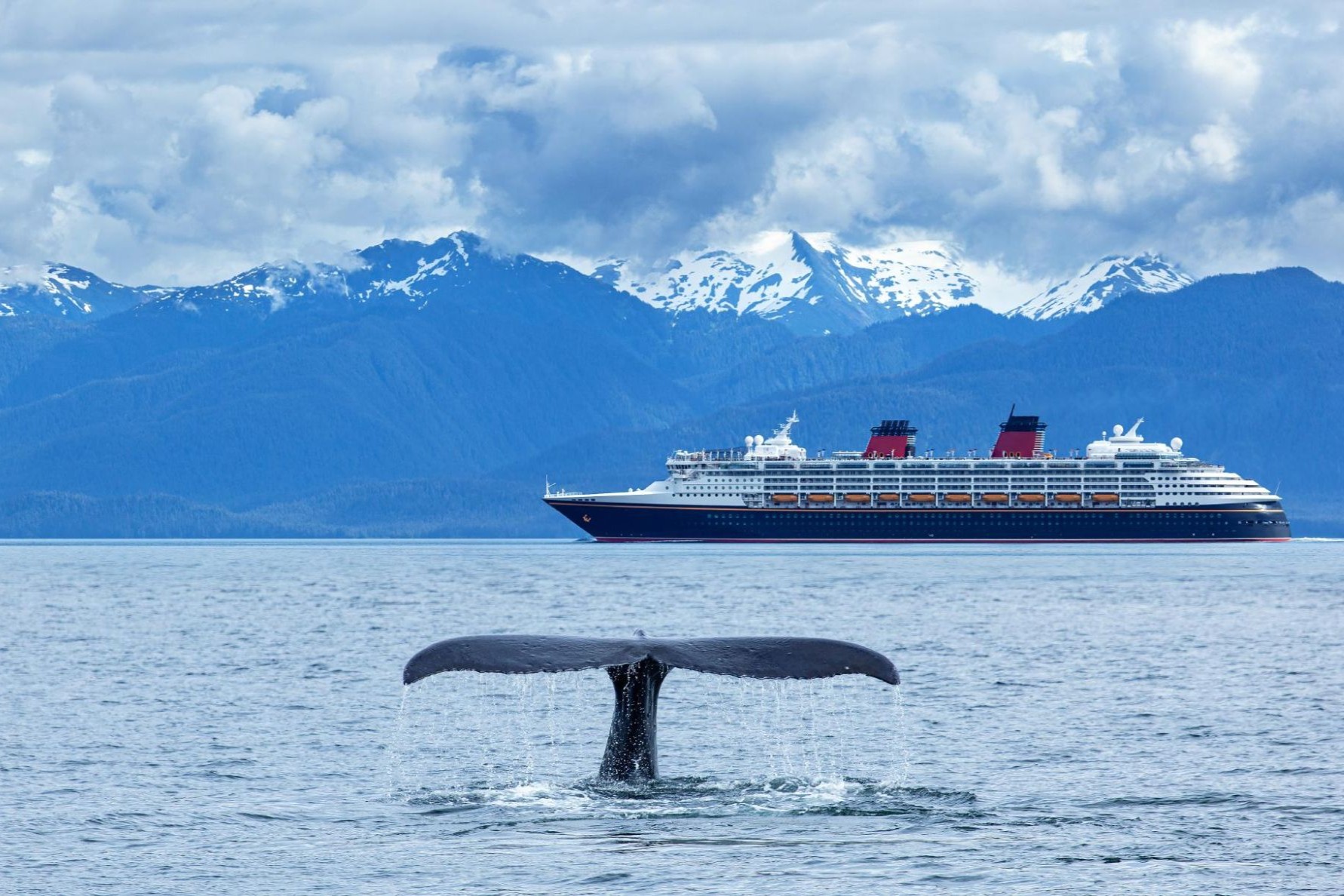 Whale and cruise ship in Alaska
