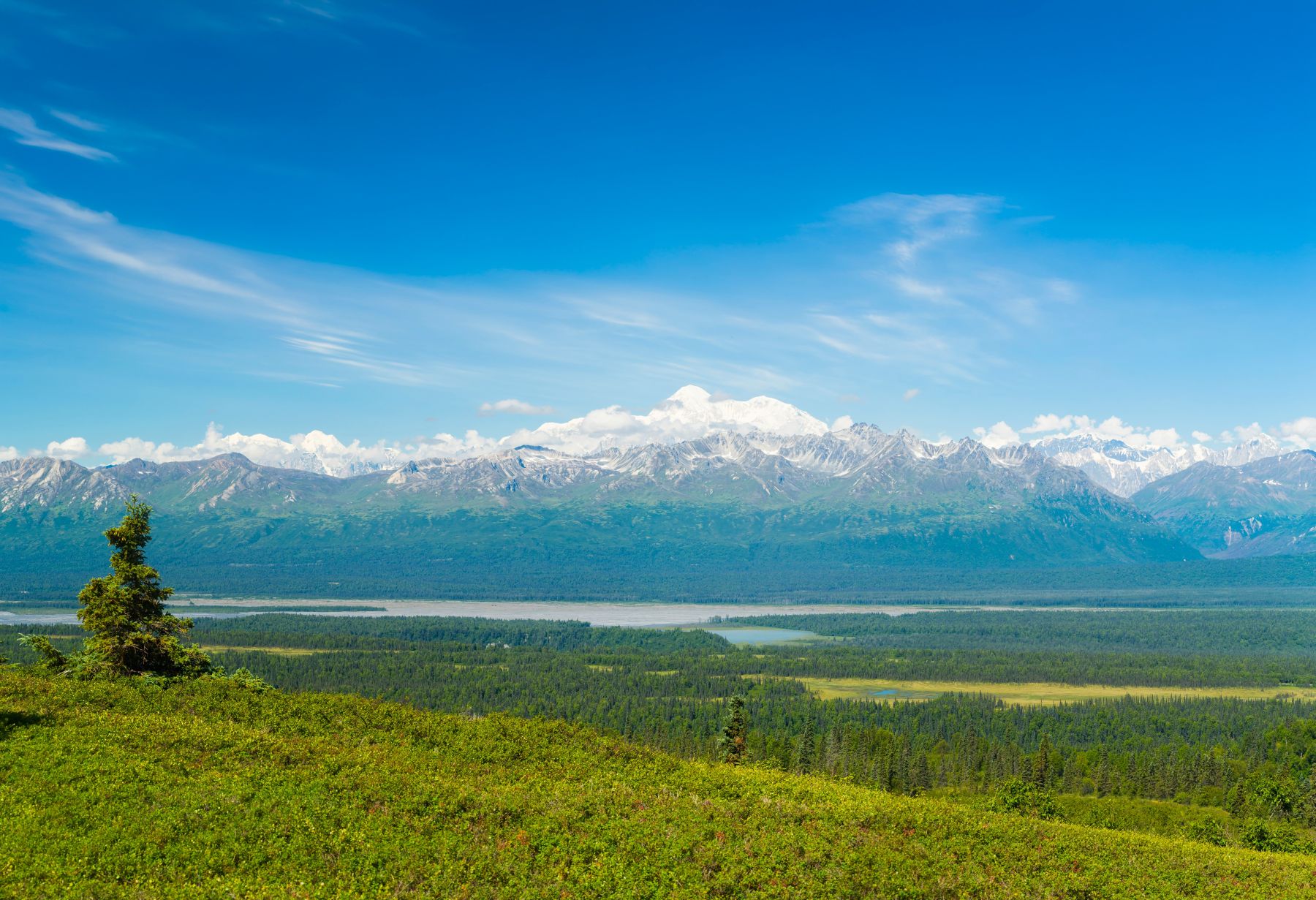 Denali State Park
