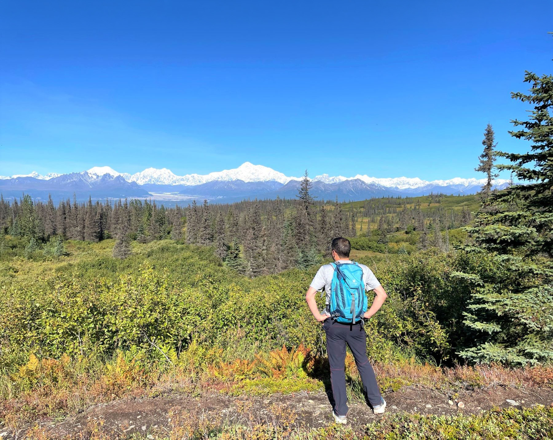Hiker in Denali State Park