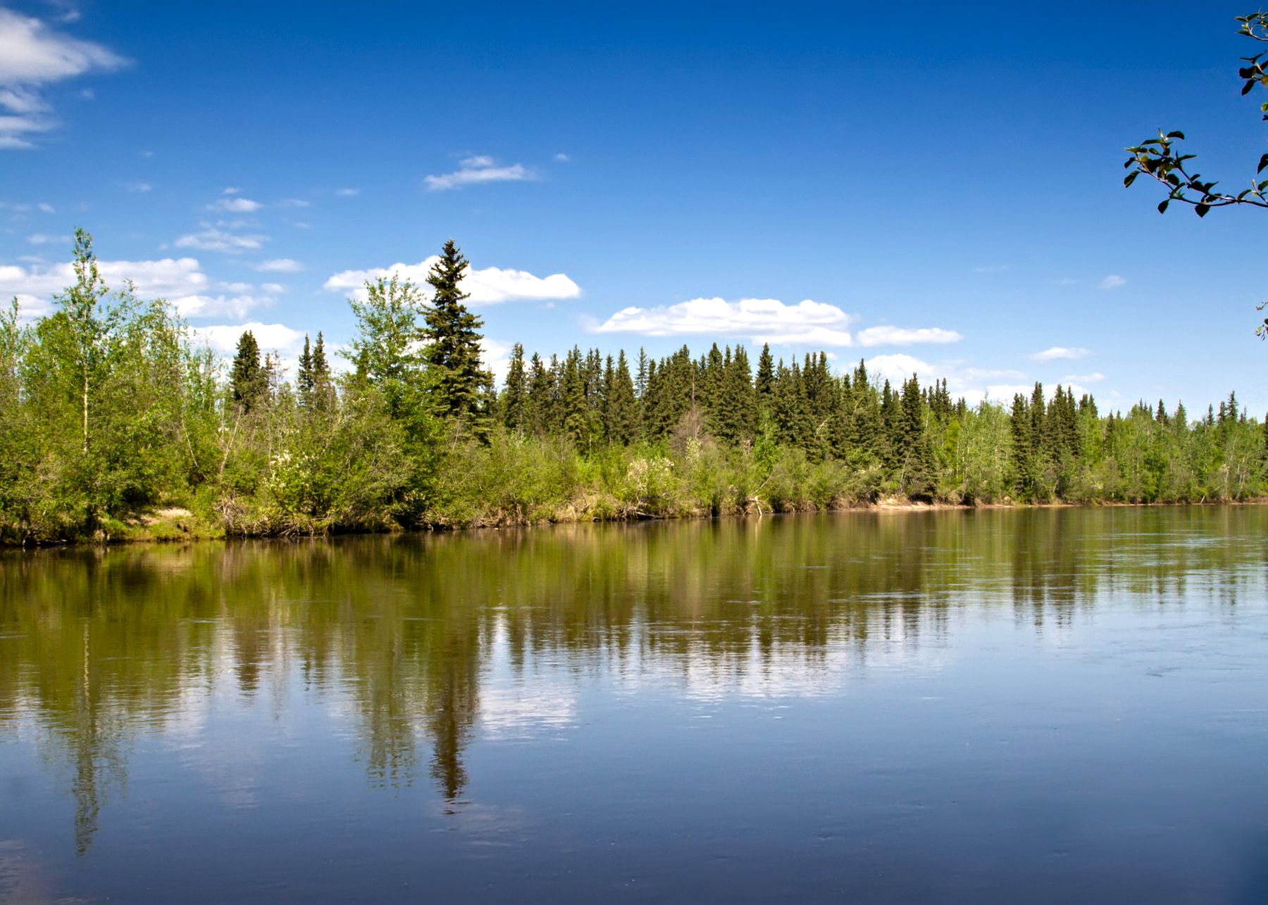Salcha River State Recreation Area