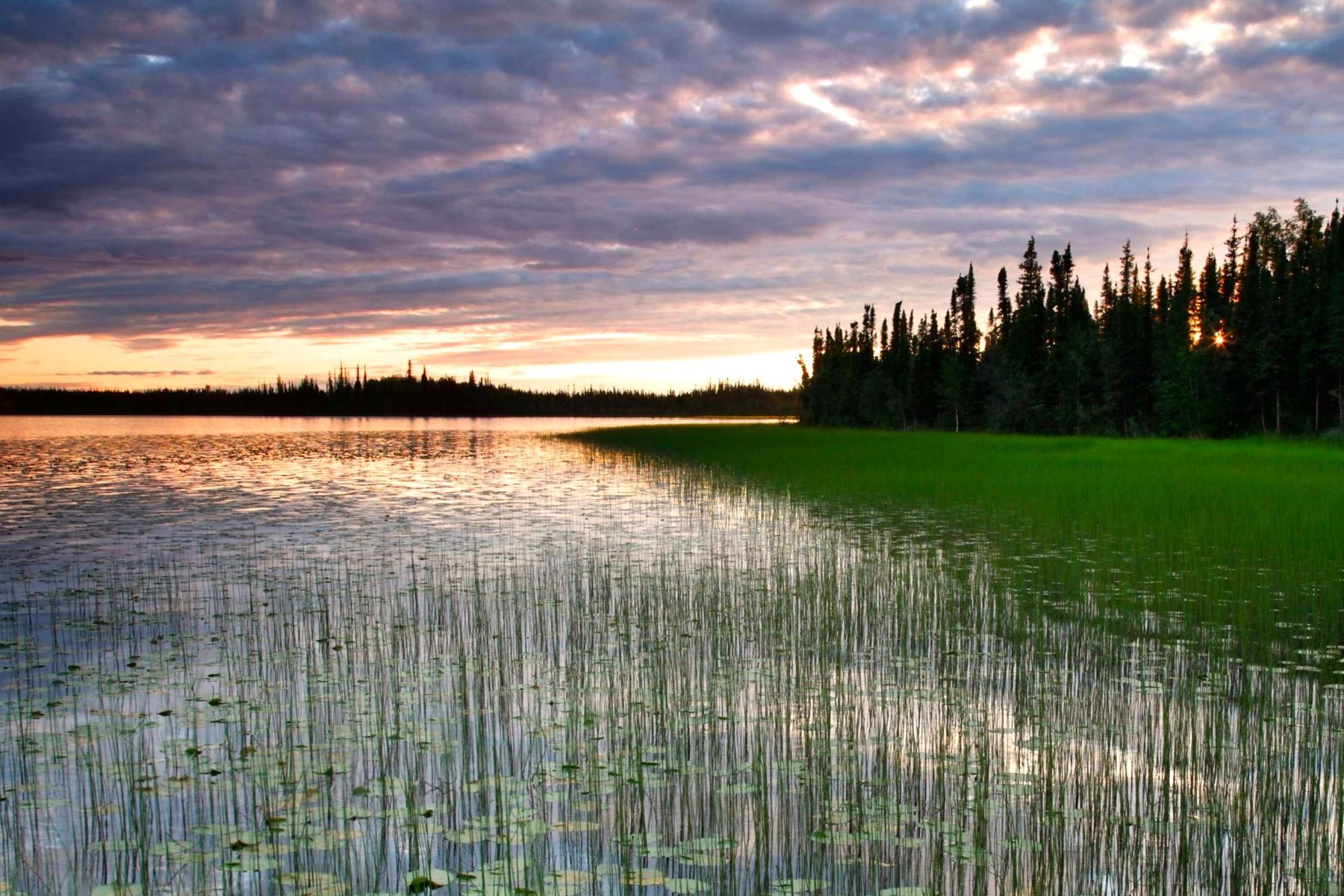 Tetlin National Wildlife Refuge