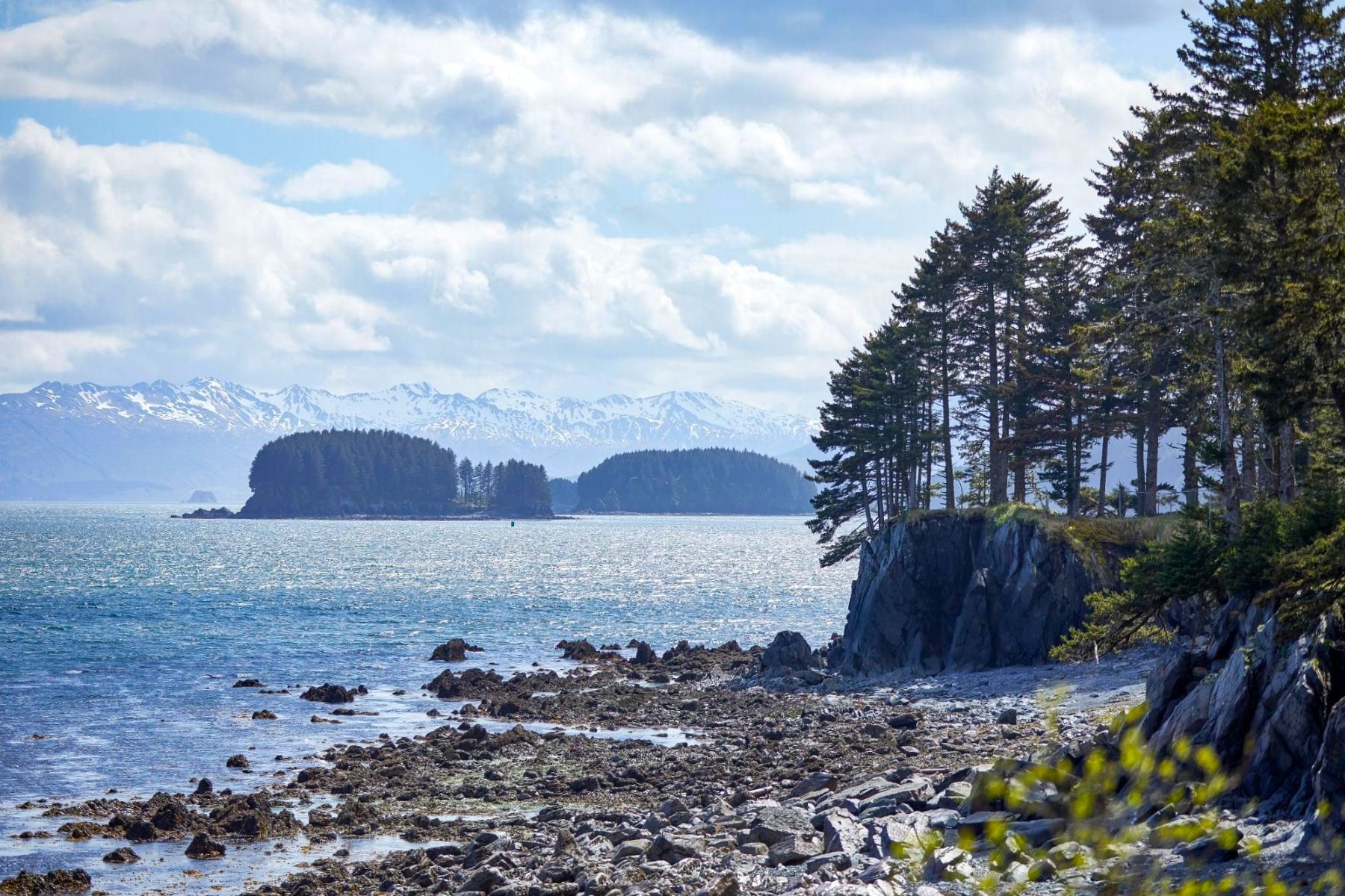 Coastal area in Kodiak