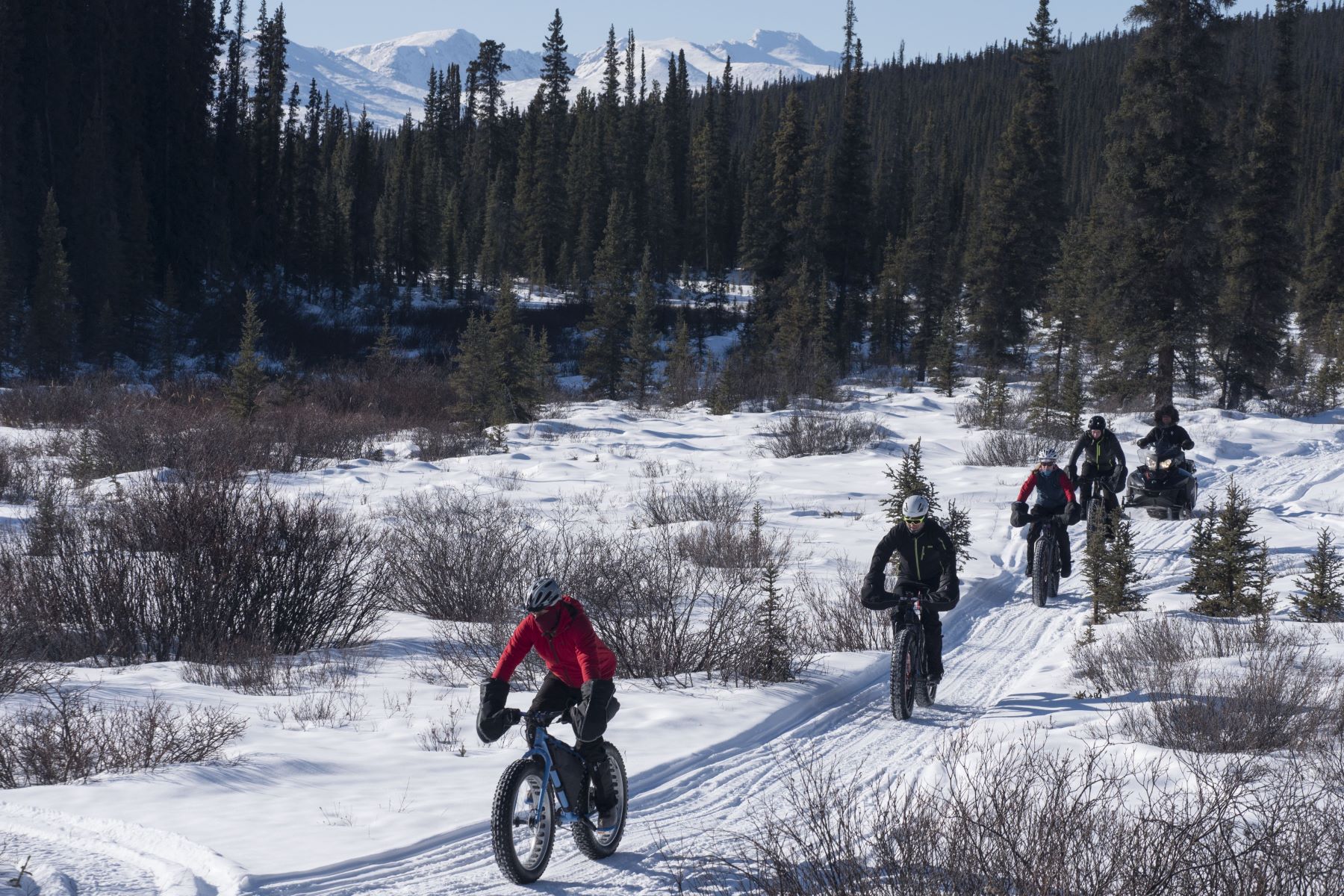 Fat tire biking in the Yukon