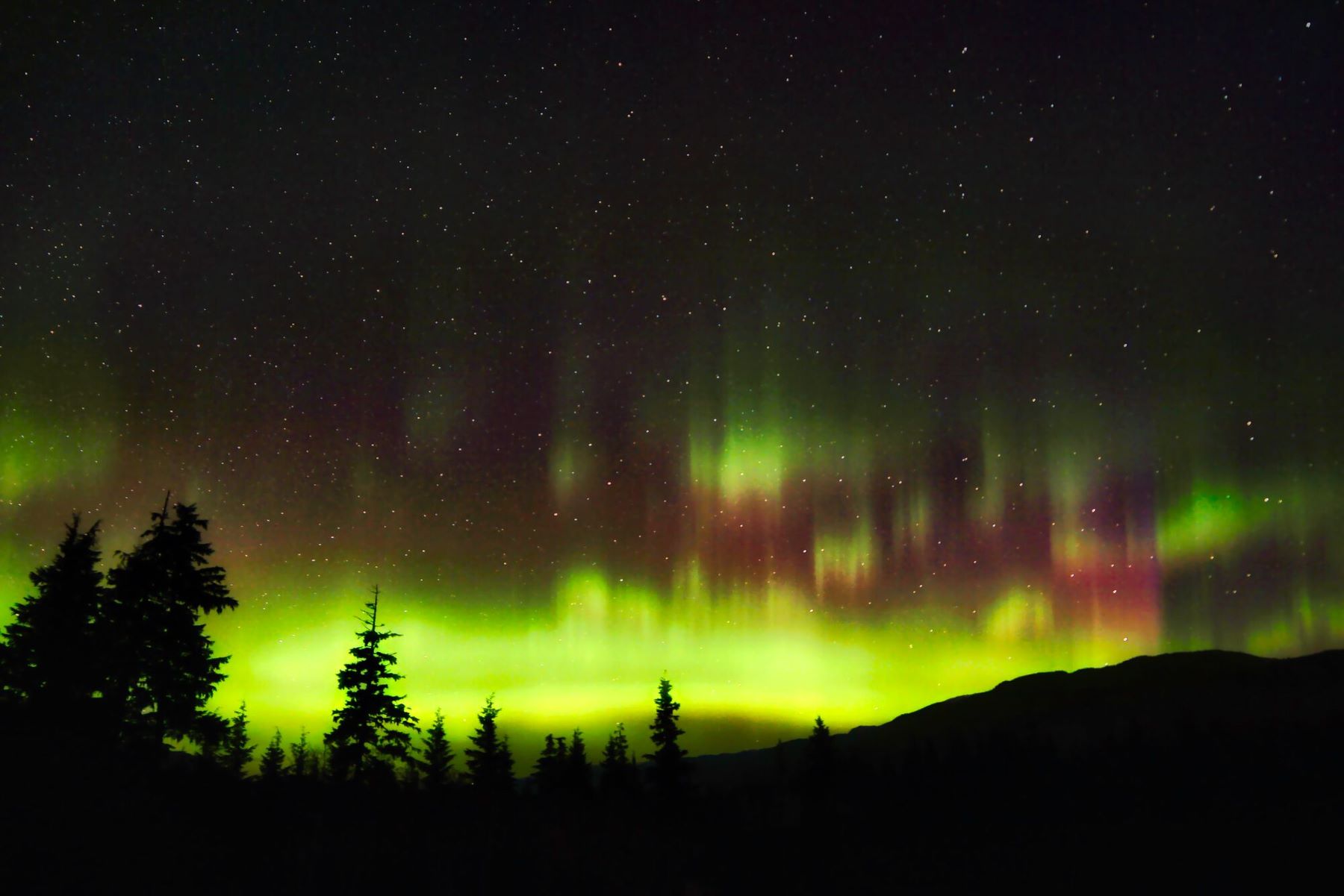Northern Lights in British Columbia