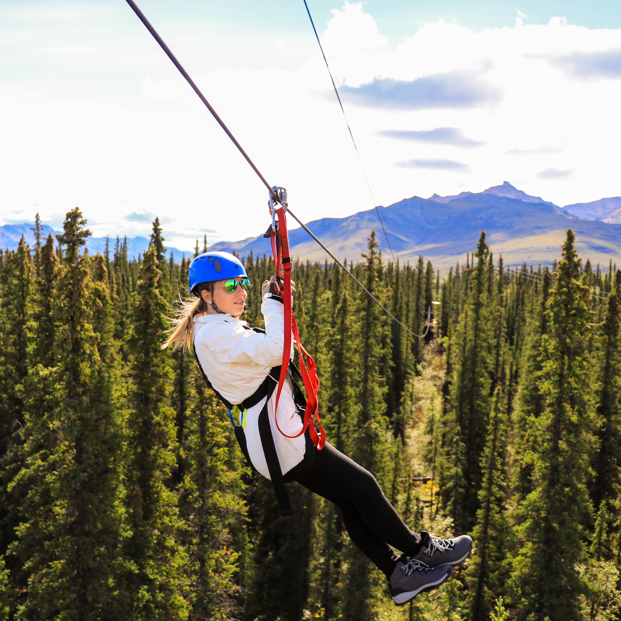 Denali Park Zipline Travel Alaska