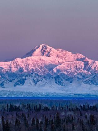 Denali National Park in Winter