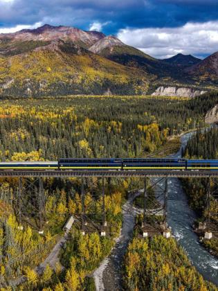 Denali Star Train in the Fall