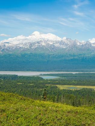 Hikers in Denali State Park