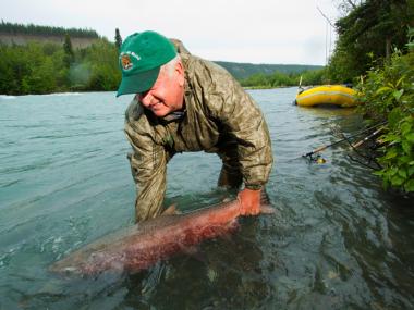 Chistochina Alaska Salmon