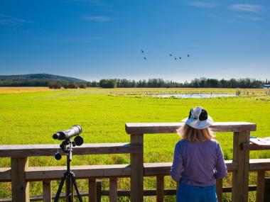 Creamers Field Migratory Waterfowl Refuge Alaska