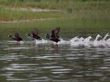 Innoko National Wildlife Refuge Alaska