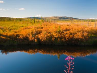 Kanuti National Wildlife Refuge Alaska