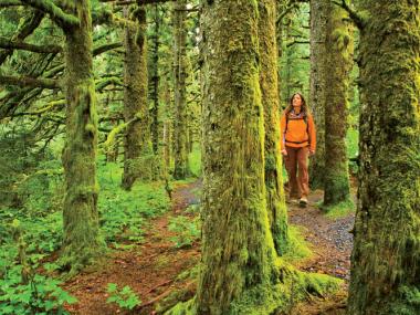 Kodiak Area State Parks Alaska Woodlands