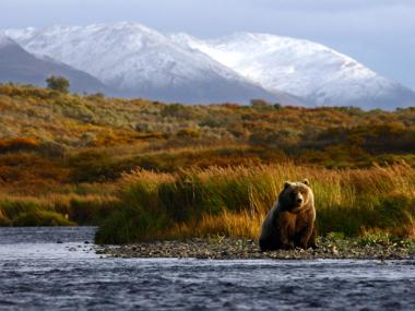 Kodiak National Wildlife Refuge Alaska