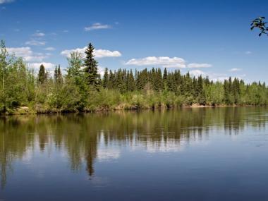 Salcha River State Recreation Site Alaska