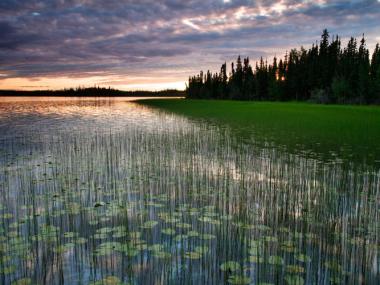 Tetlin National Wildlife Refuge Alaska