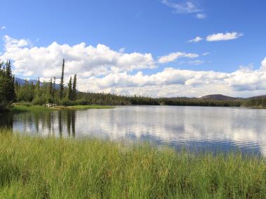 Tok Area Parks Alaska