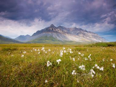Brooks Range Alaska Teaser