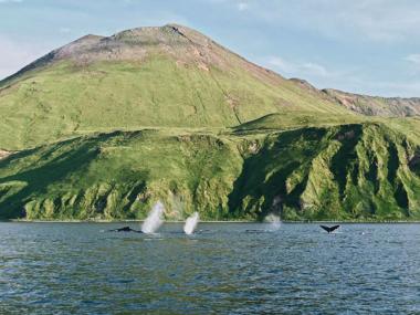 Aleutian Island Alaska Teaser