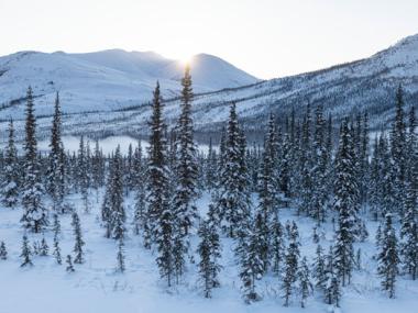 Snowy forest and mountains in Alaska's Arctic Circle