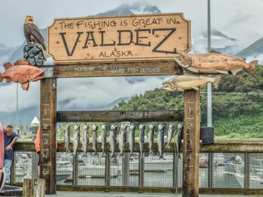 A fresh catch of fish in Valdez, Alaska