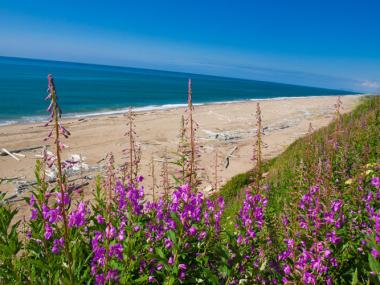 Beaches Of Alaska