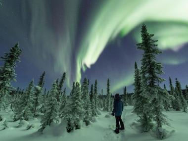 Unparalleled Winter Experiences In The Fairbanks Region