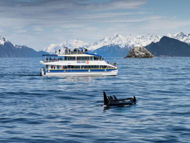 Visit Kenai Fjords