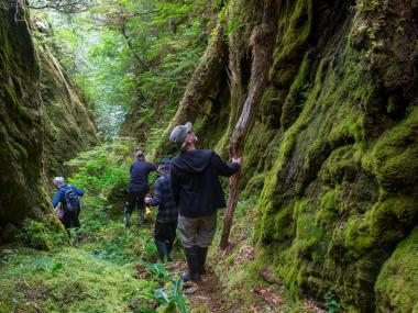 Photo Credit: UnCruise Adventures