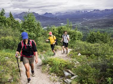 Hiking in Denali