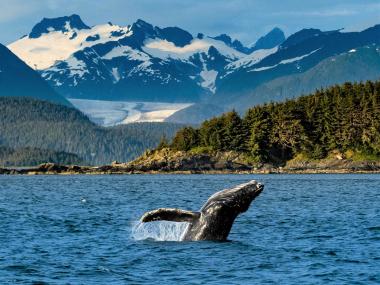 Superstock, Alamy Stock Photo