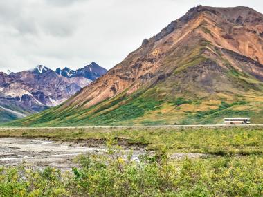 Denali National Park bus tour