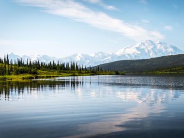 Denali National Park