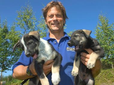 Martin Buser and puppies in Big Lake