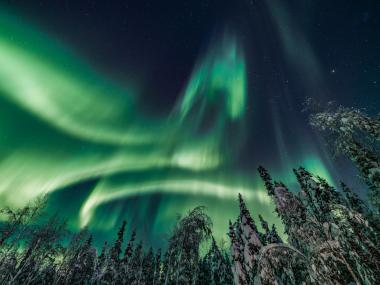 Northern lights over snow covered trees in Interior Alaska