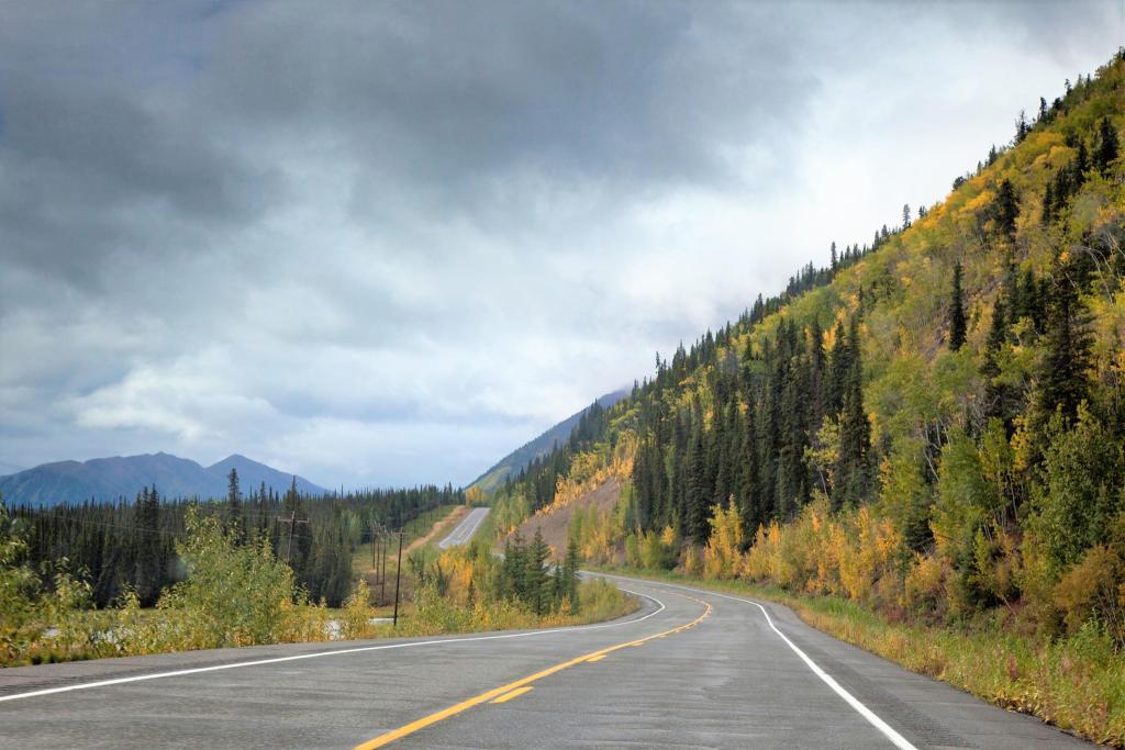 Tok Alaska Highway