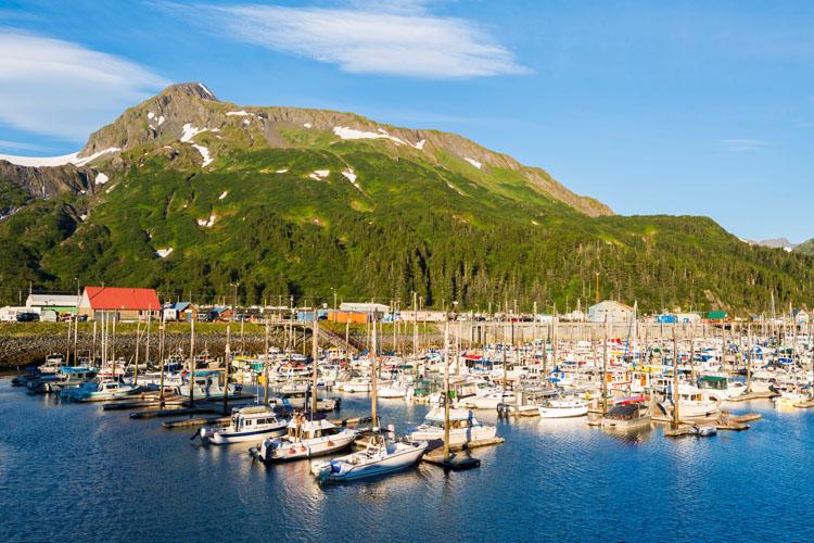 Boats at a marina in Prince William Sound