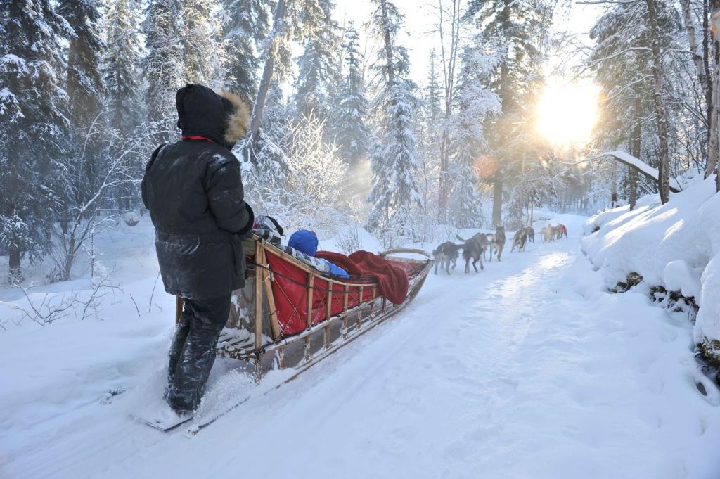 Dog Sledding at Chena Hot Springs Resort
