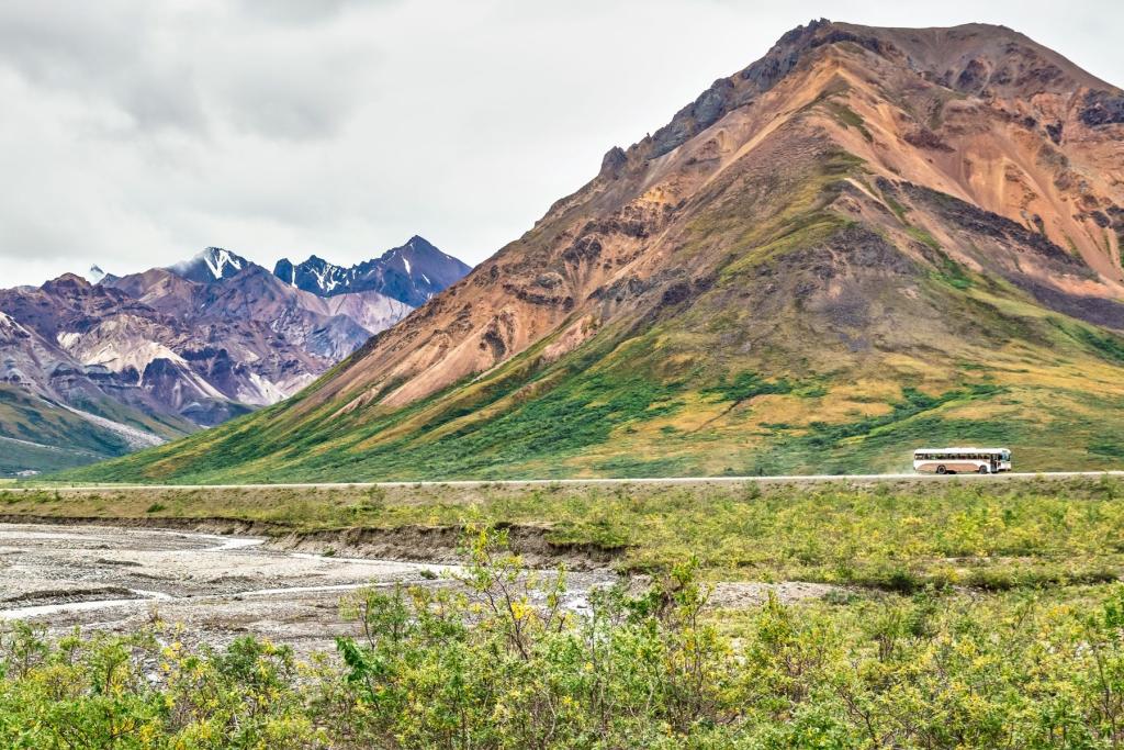 Denali National Park Bus Tour